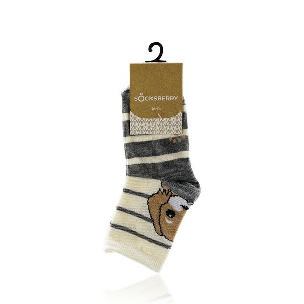 Детские носки Socksberry Kids KS-0033 