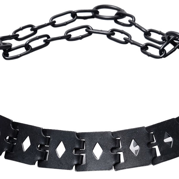 Ошейник Дарэлл строгий для собак 55*2,7 см 1,5 мм