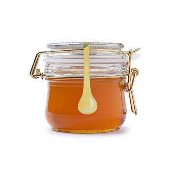 Мед Пчельник гречишный 270г бугель, Россия