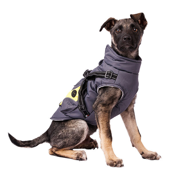 Куртка на молнии Rungo с карманами серая S