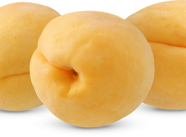 Абрикосы Шалах