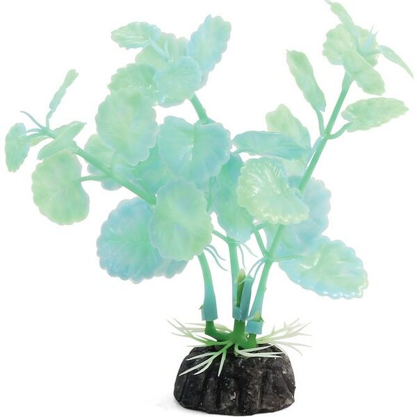 Laguna растение светящееся 