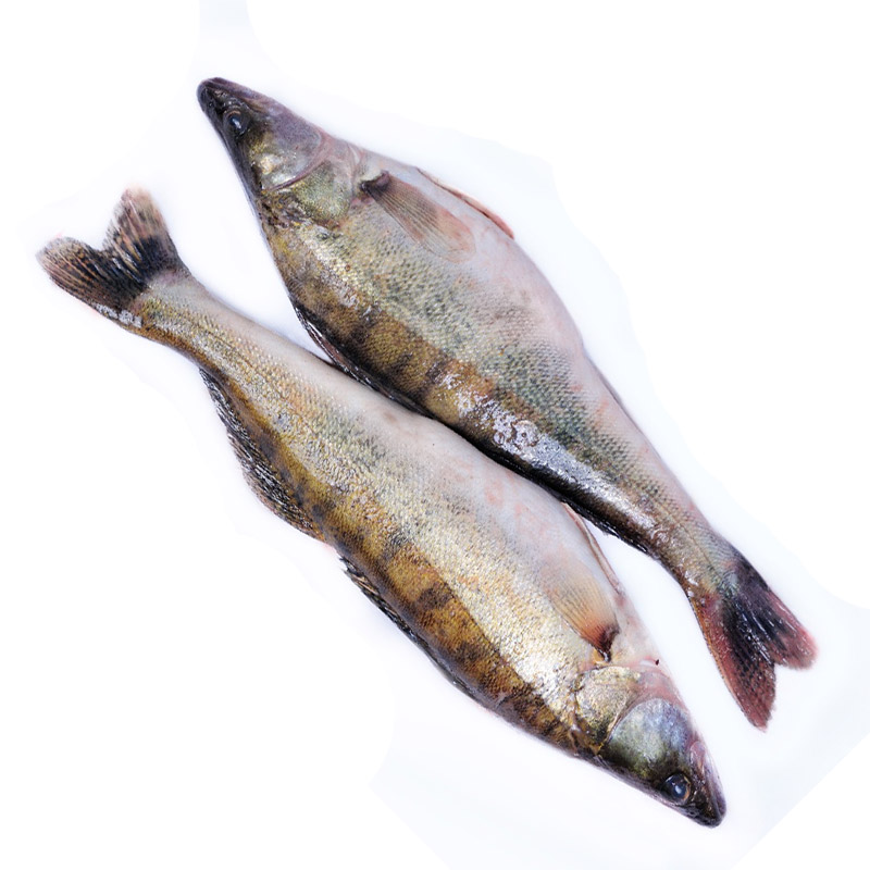 

Судак неразделанный размороженный ЛЕНТА FRESH СП до 1.0кг
