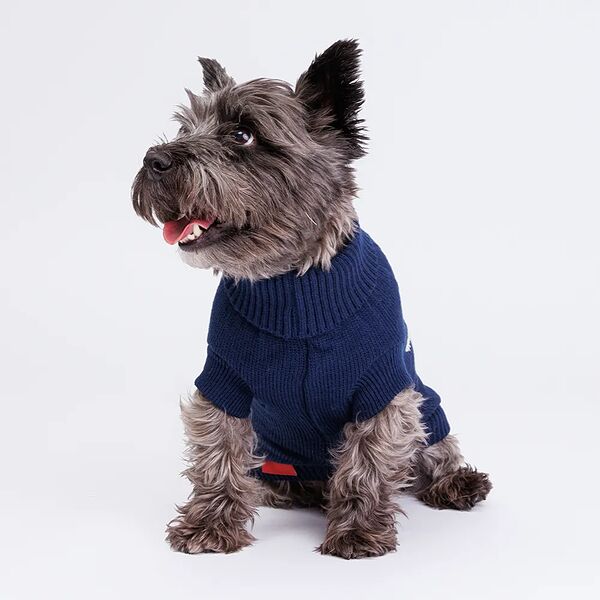 Свитер для собак, 40 см, синий с очками