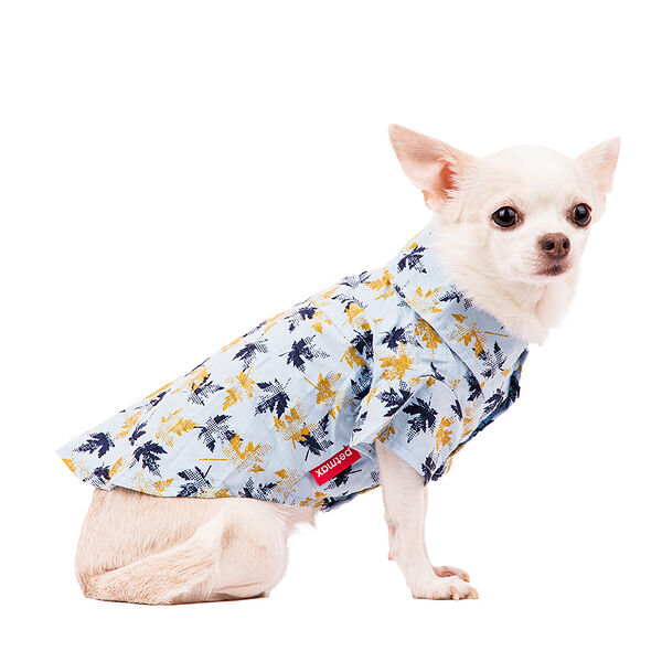 Рубашка для собак S голубой (унисекс)