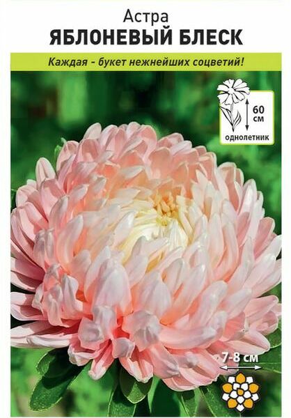 Семена Русский огород Астра Яблоневый блеск 1г