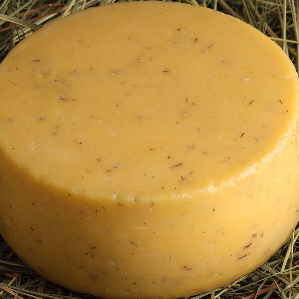 Качотта с итальянскими травами