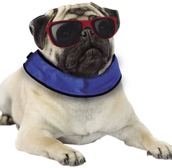 Ошейник для собак охлаждающий COOLING-LOOP 15/25см