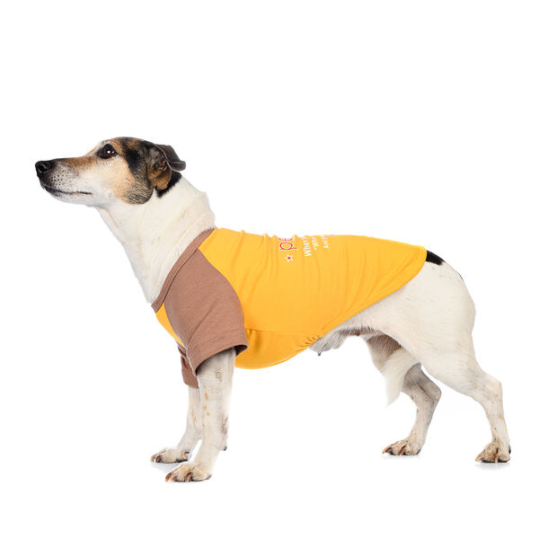 Футболка для собак M желтый (унисекс)