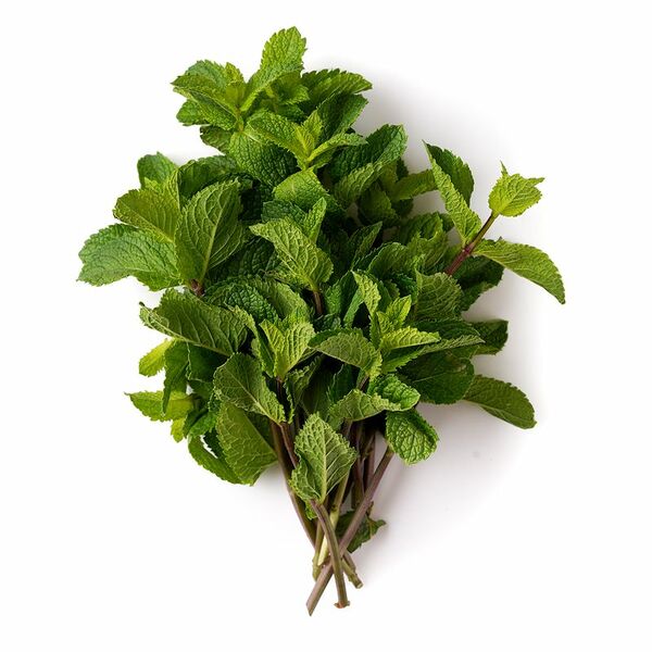 Mята свежая Маркет Fresh 25 г