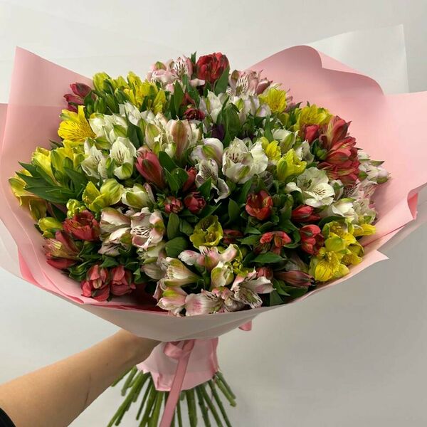 Огромный букет ярких альстромерий