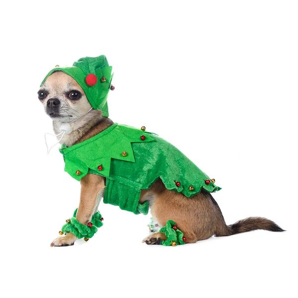 Костюм с шапкой для собак Christmas елочка L зеленый (унисекс)