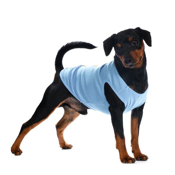 Футболка для собак XL синий (унисекс)