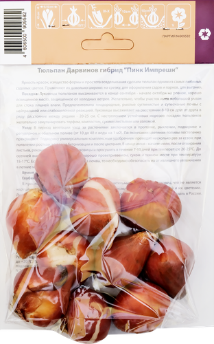 

Луковицы Тюльпан Дарвинов гибрид Пинк Импрешн, 10шт