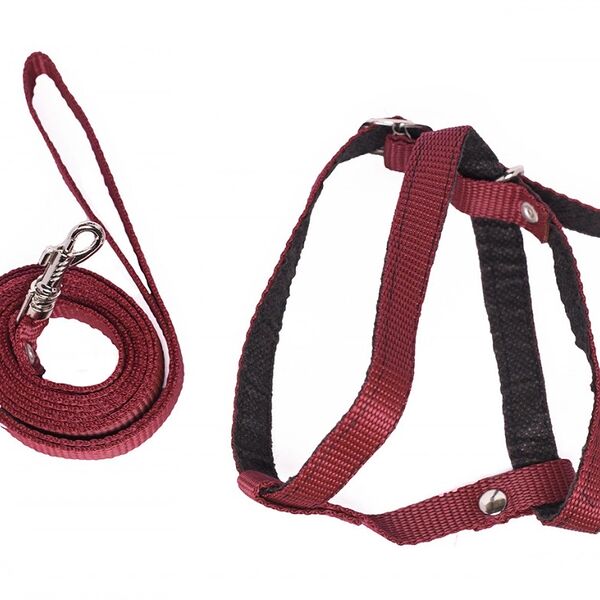 Геогазтехнология шлейка на подкладке для кошек 14 мм.