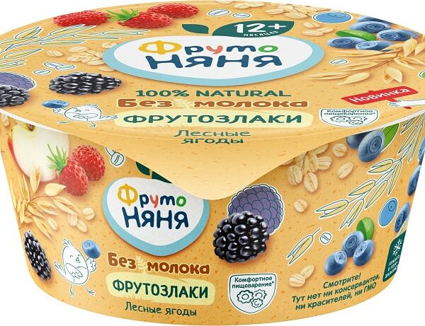 Продукт овсяный ФрутоНяня Яблоко лесные ягоды с 12 месяцев 140г