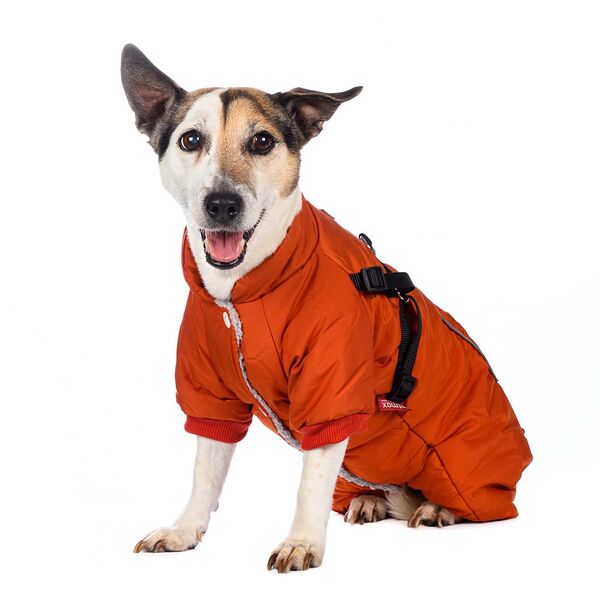 Комбинезон со шлейкой для собак 2XL оранжевый (девочка)