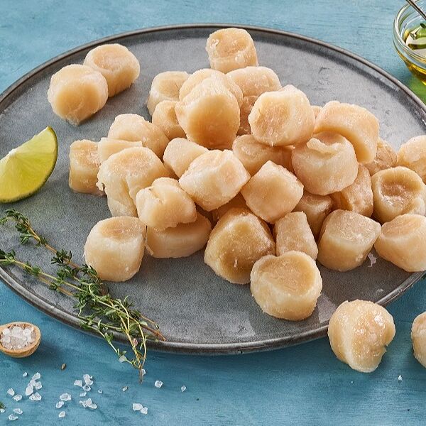 Гребешок морской северный