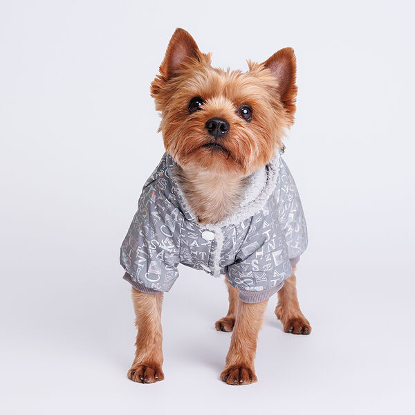 Комбинезон светоотражающий для собак, S, с буквами