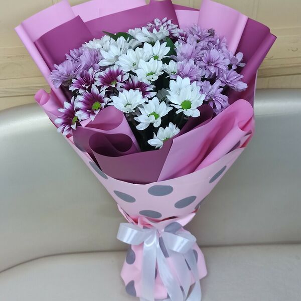 Кустовые хризантемы