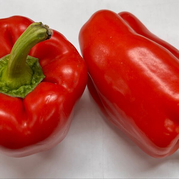 Перец болгарский