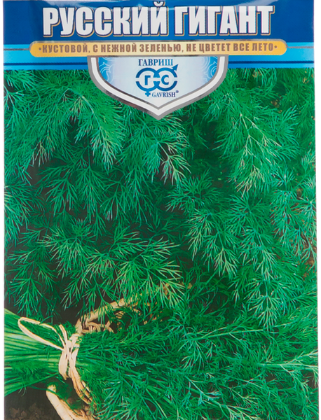 Семена Укроп Гавриш Русский гигант