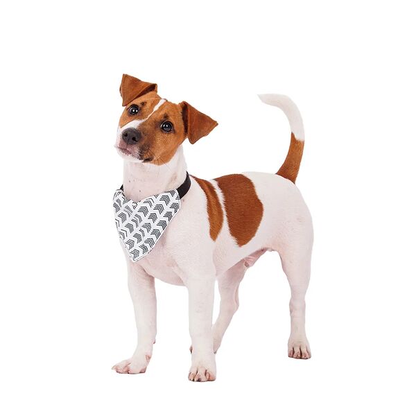 Ошейник с банданой Relax 15/44 треугольник белый