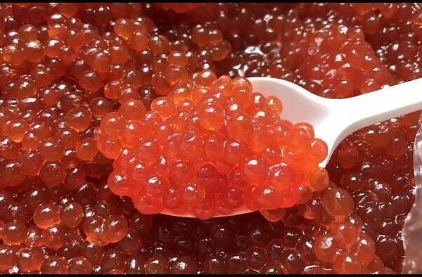 Икра чавычи