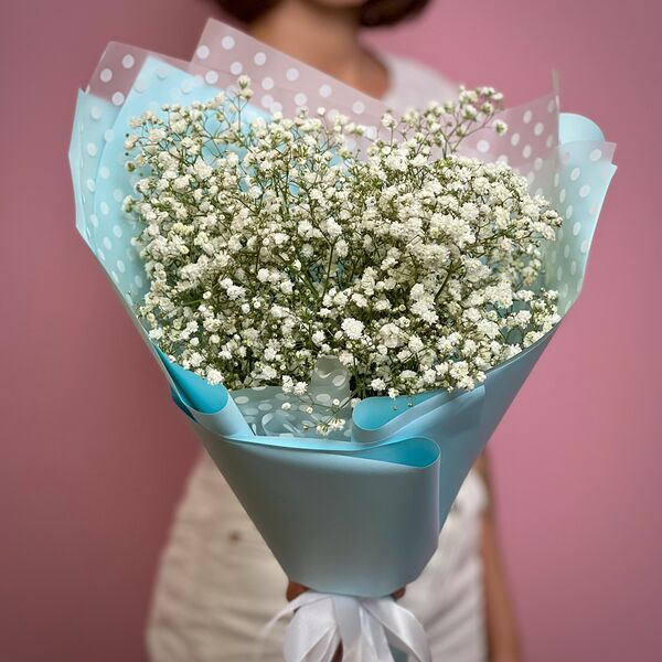 Гипсофила белая 5 шт