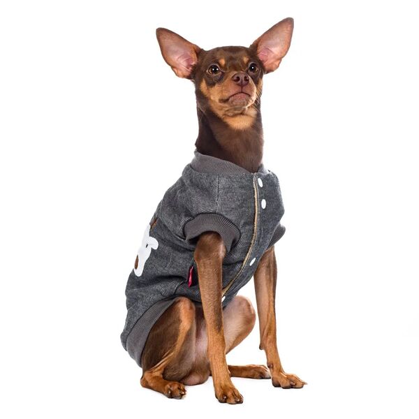 Толстовка для собак 2XL серый (унисекс)