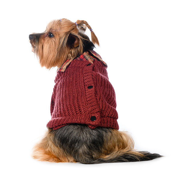 Свитер с пуговицами для собак M бордовый (унисекс)