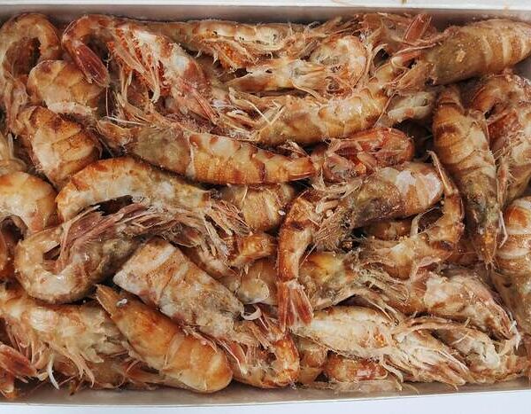 Креветка медведка варёно-мороженая