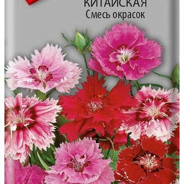 Семена Гвоздика китайская смесь окрасок ТМ Поиск 