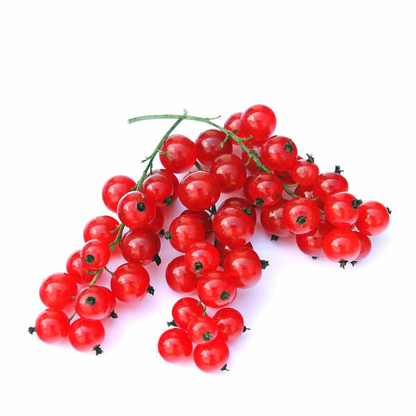 Смородина красная ТМ Фамилия