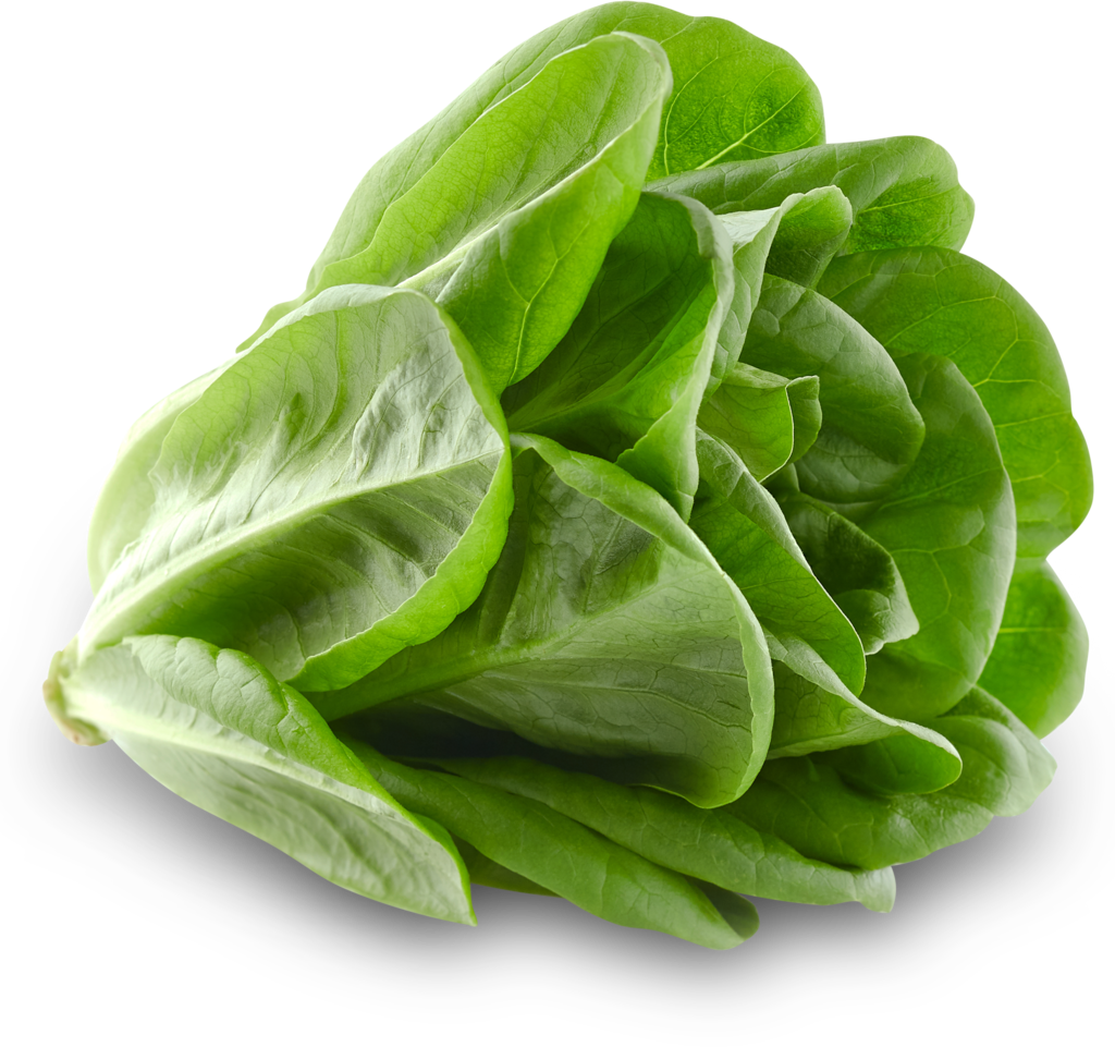 

Салат Саланова КУК зеленый