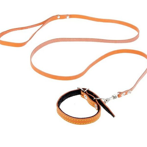 Зооник комплект кожаный ошейник+поводок для щенков