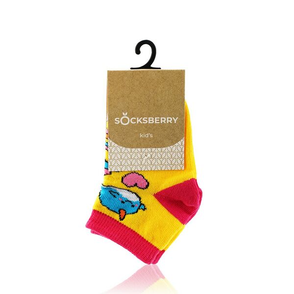 Детские носки Socksberry Kids KS-0011 
