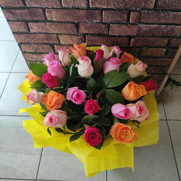 Радуга чувств