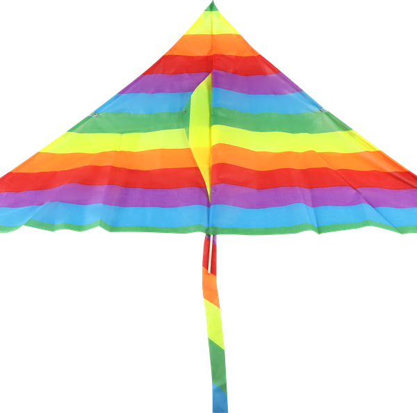 Игрушка BIGGA Воздушный змей