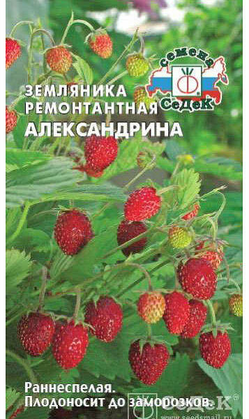 Семена Земляника Александрина ТМ СеДеК