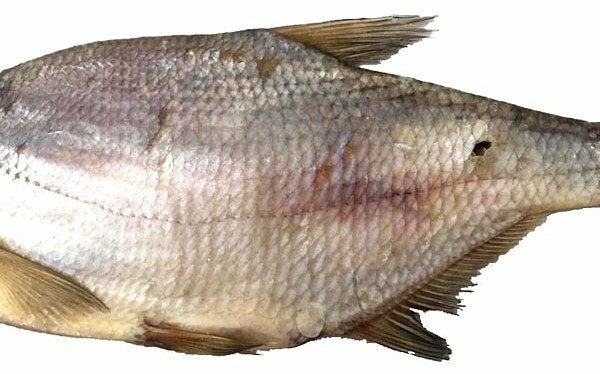 Лещ вяленый, вес