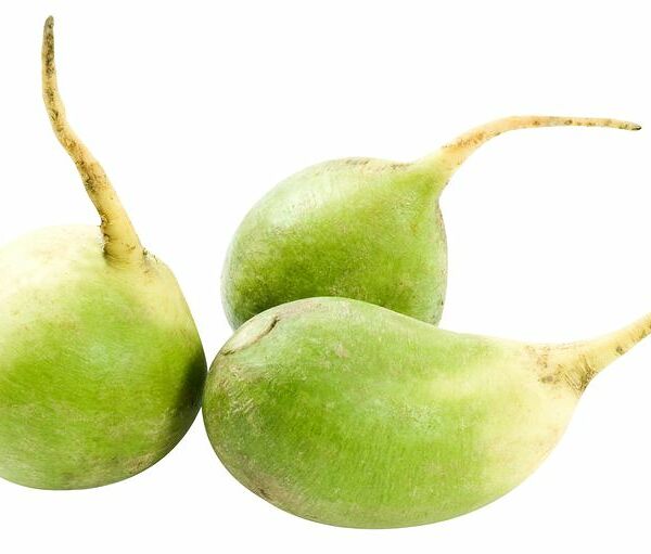 Редька зеленая