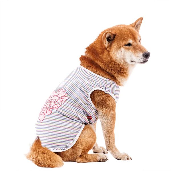 Футболка для собак 2XL голубой (унисекс)