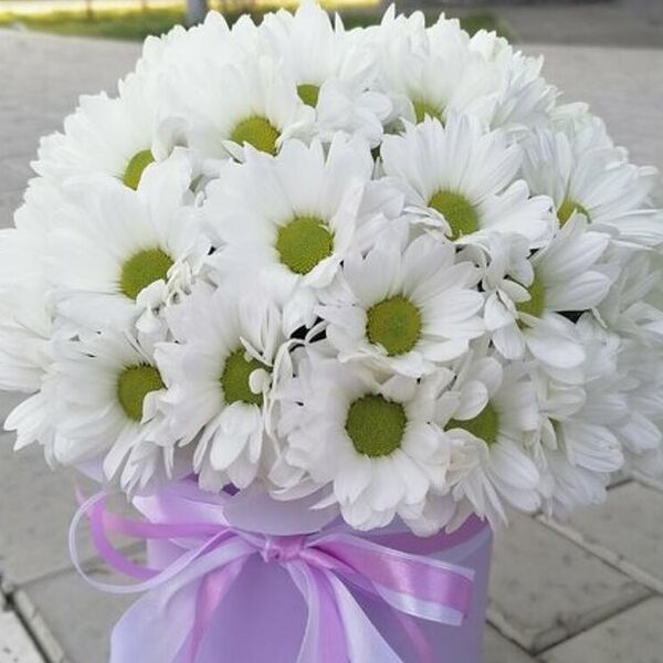 Акция (коробочка кустовых хризантем)