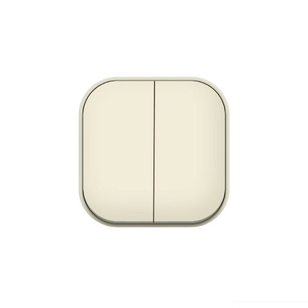 Выключатель двухклавишный Ionich, 10А