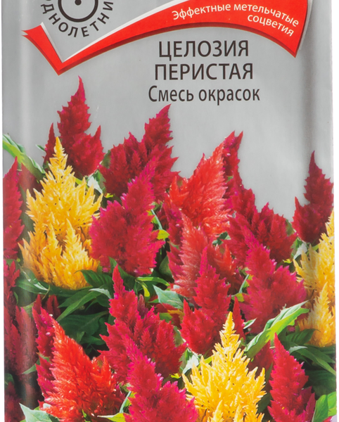 Семена Целлозия Поиск Перистая смесь