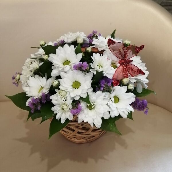 Ромашковое поле