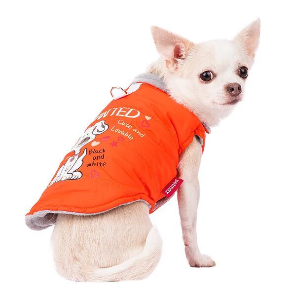 Куртка для собак L оранжевый (унисекс)