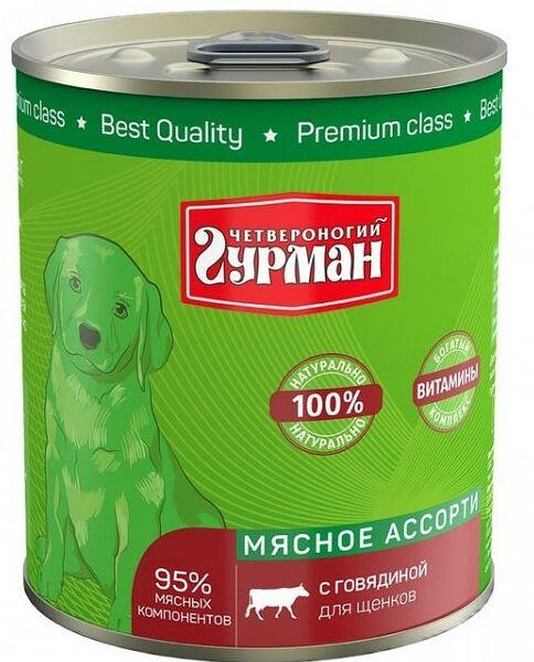 Четвероногий гурман 