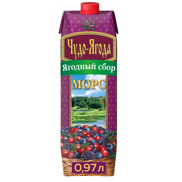 Морс Ягодный сбор Ежевика, Клюква, Черника Чудо-Ягода 0,97л